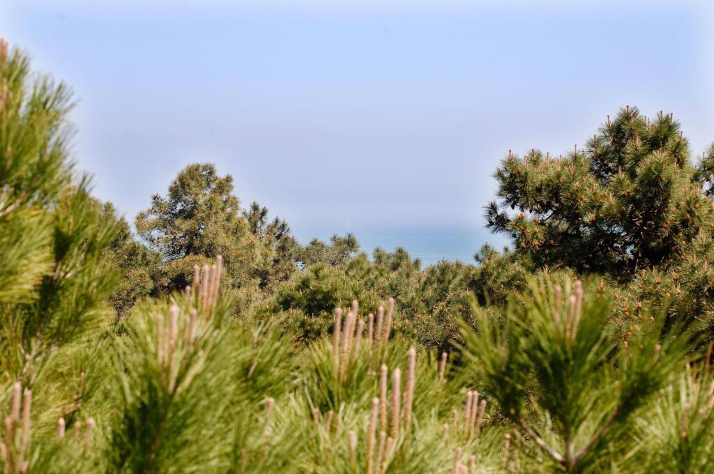Hotel Dom Milano Marittima Rom bilde